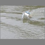 PC250493.JPG